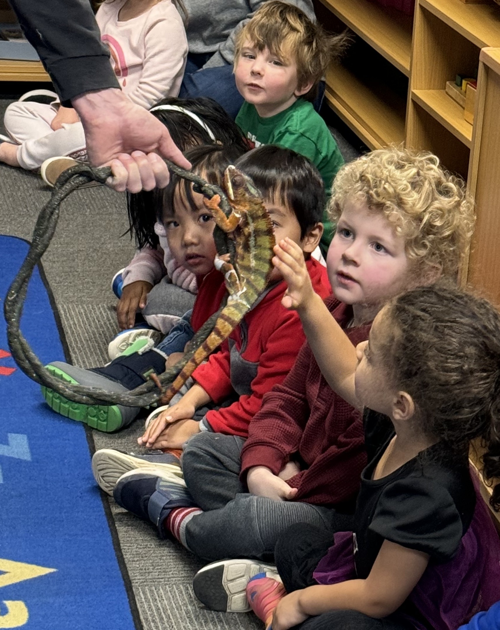 Ann Arbor students gathered for a classroom animal visit