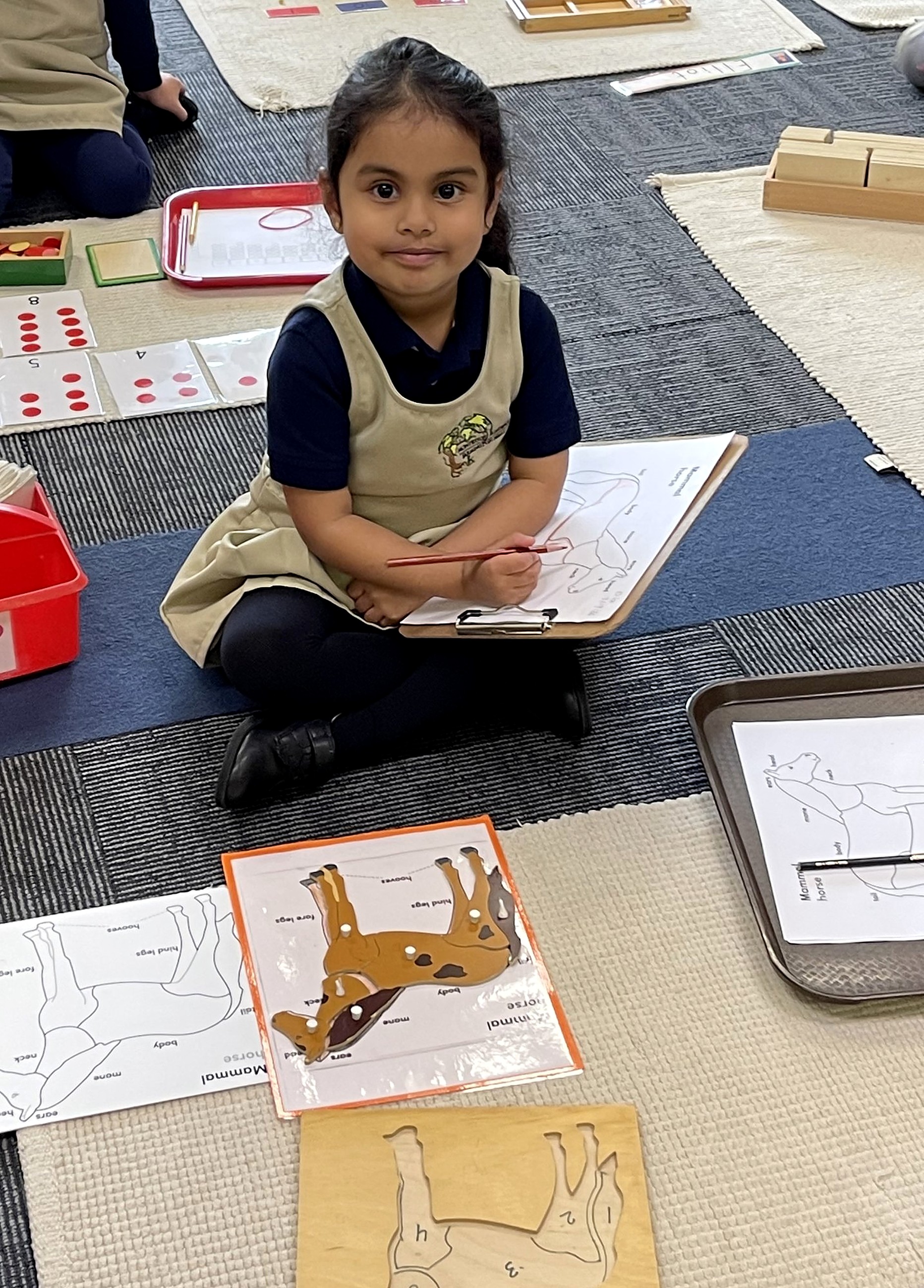 Primary students at Montessori Academies of Michigan